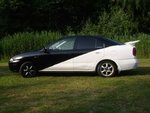 IMG_0054.jpg