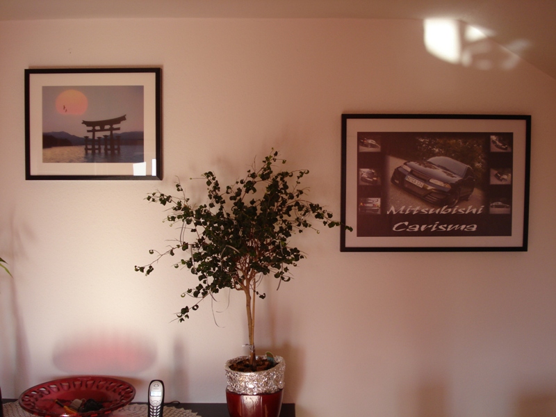 DSC004891JPG.JPG
