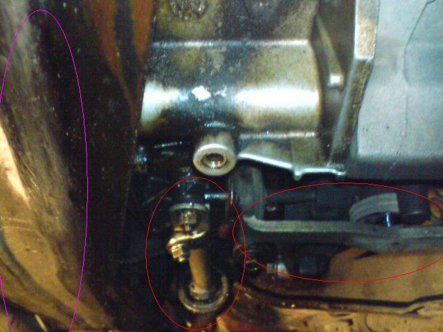 dsc00061_213.jpg