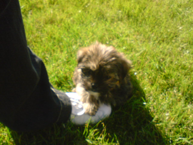 DSC00071.JPG