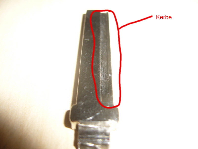 rohling-neu01.jpg