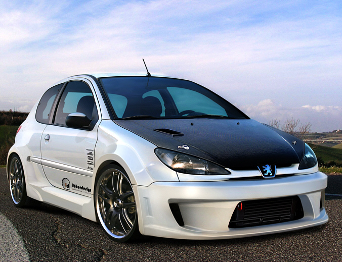 peugeot-206-widebodykit.jpg