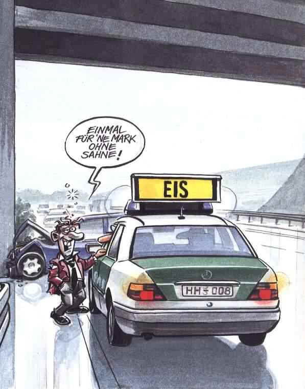 eis.jpg