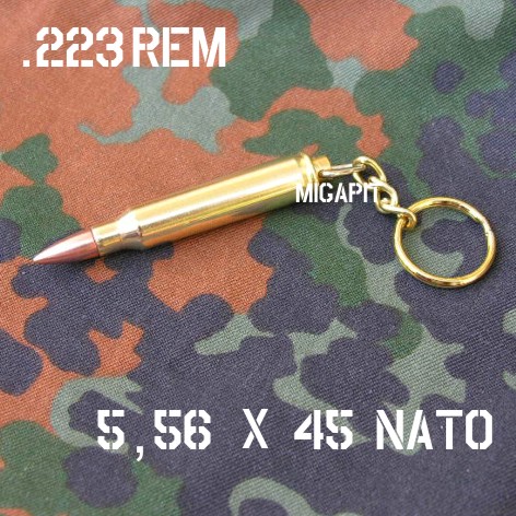 223.jpg