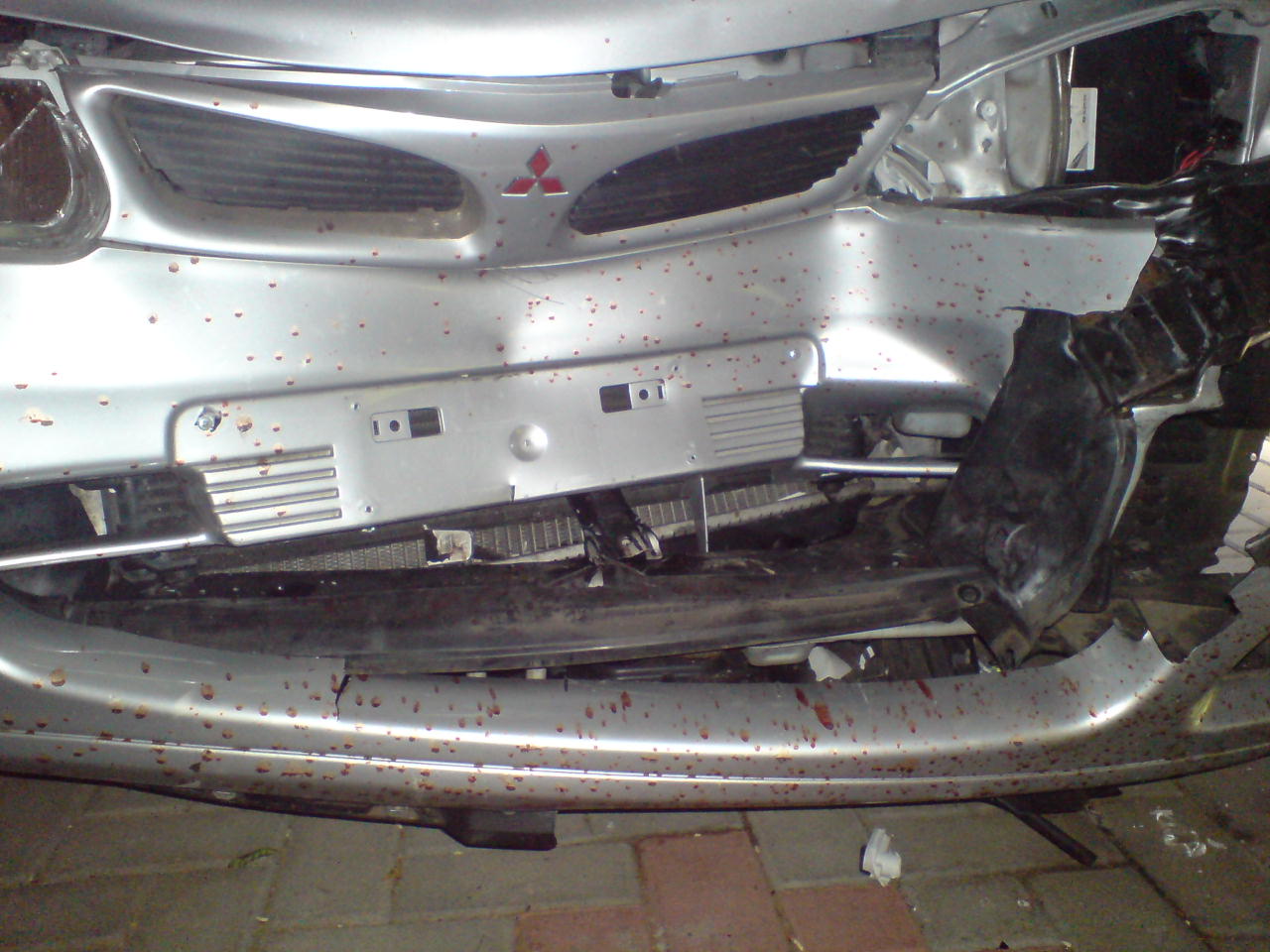 DSC00713.JPG