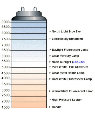 Kelvin_Scale.jpg