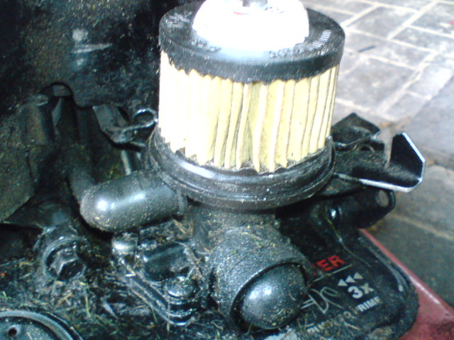 dsc00063_237.jpg