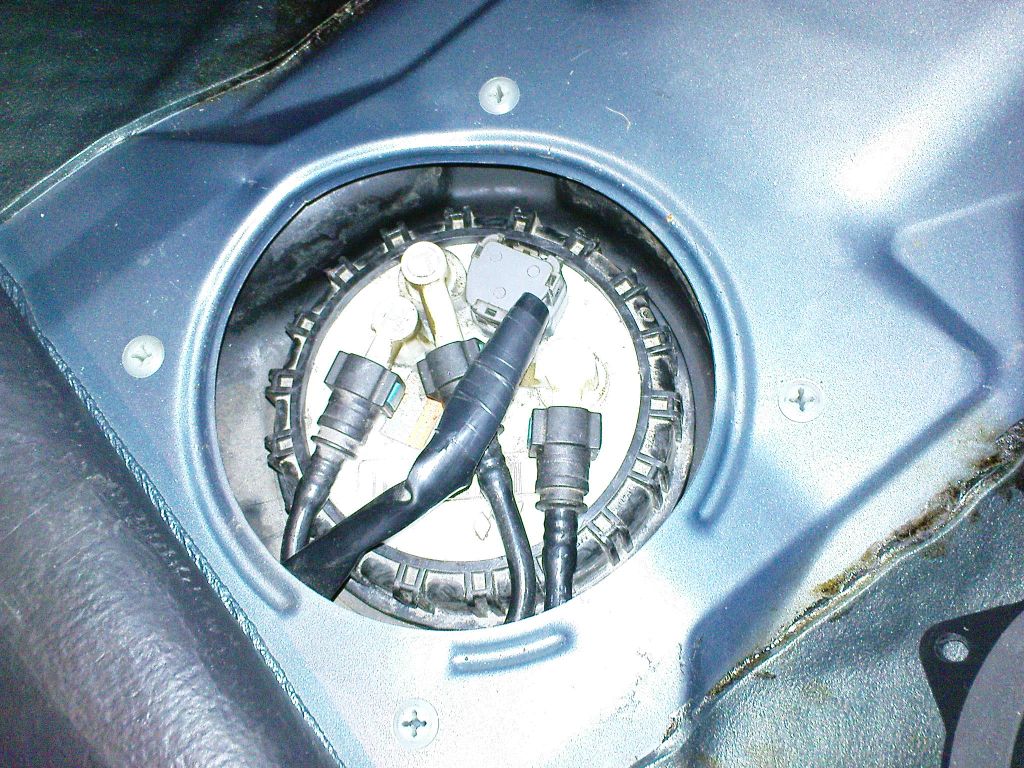 DSC00466_mod.jpg
