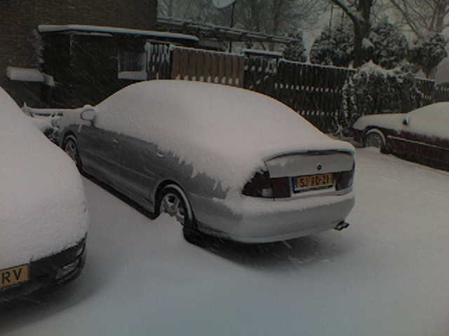 winter2.jpg