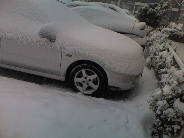 winter.jpg