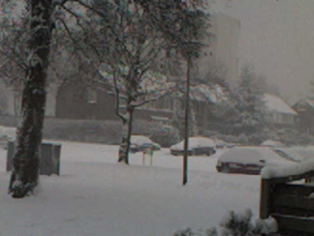winter3.jpg