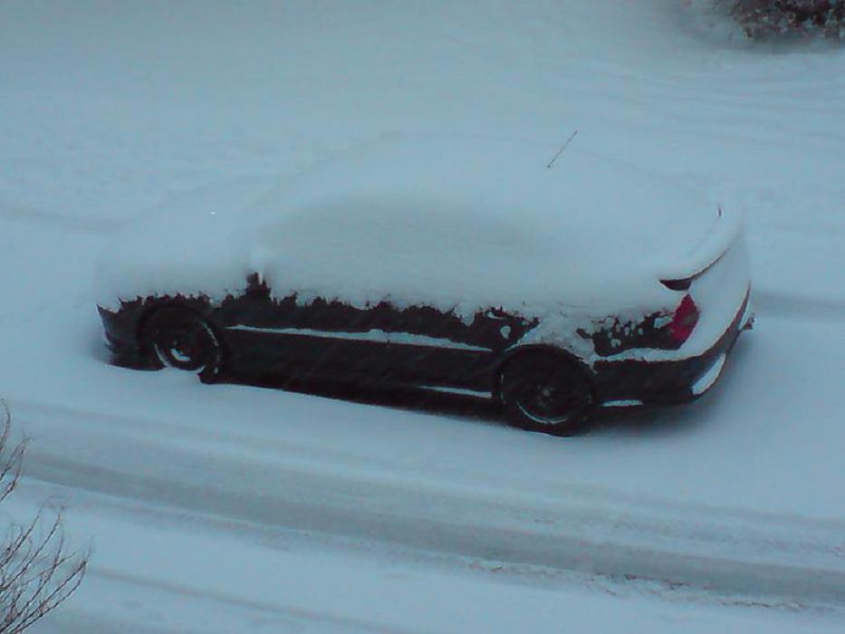 Winterbild 3.JPG