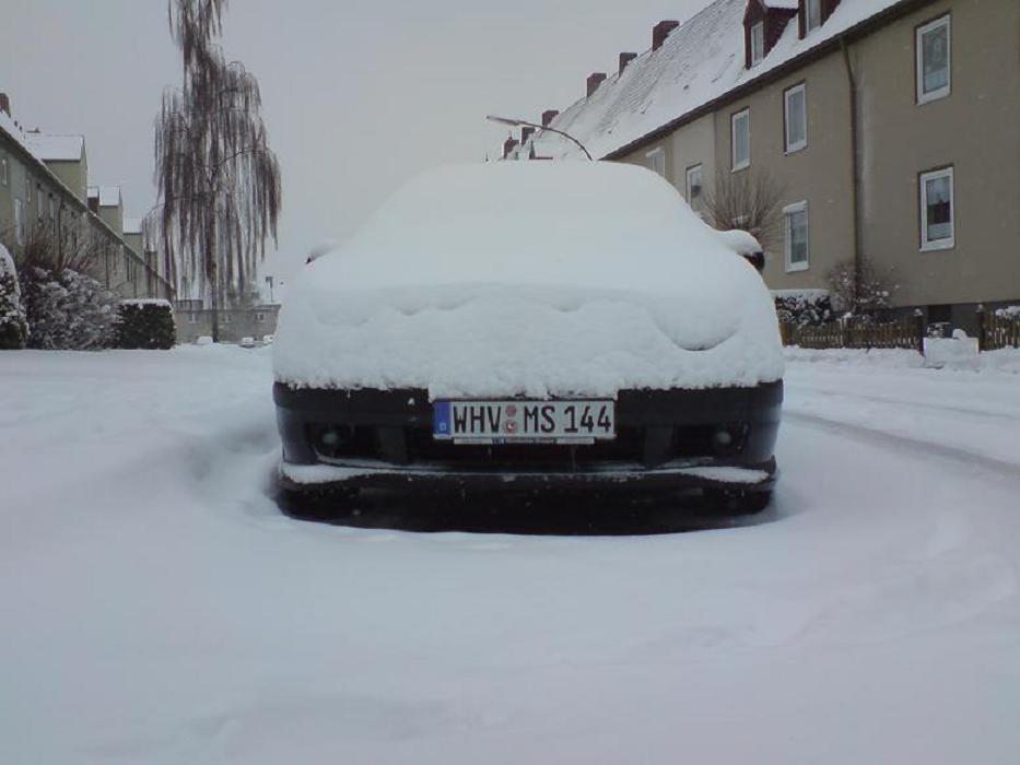 Winterbild 1.JPG