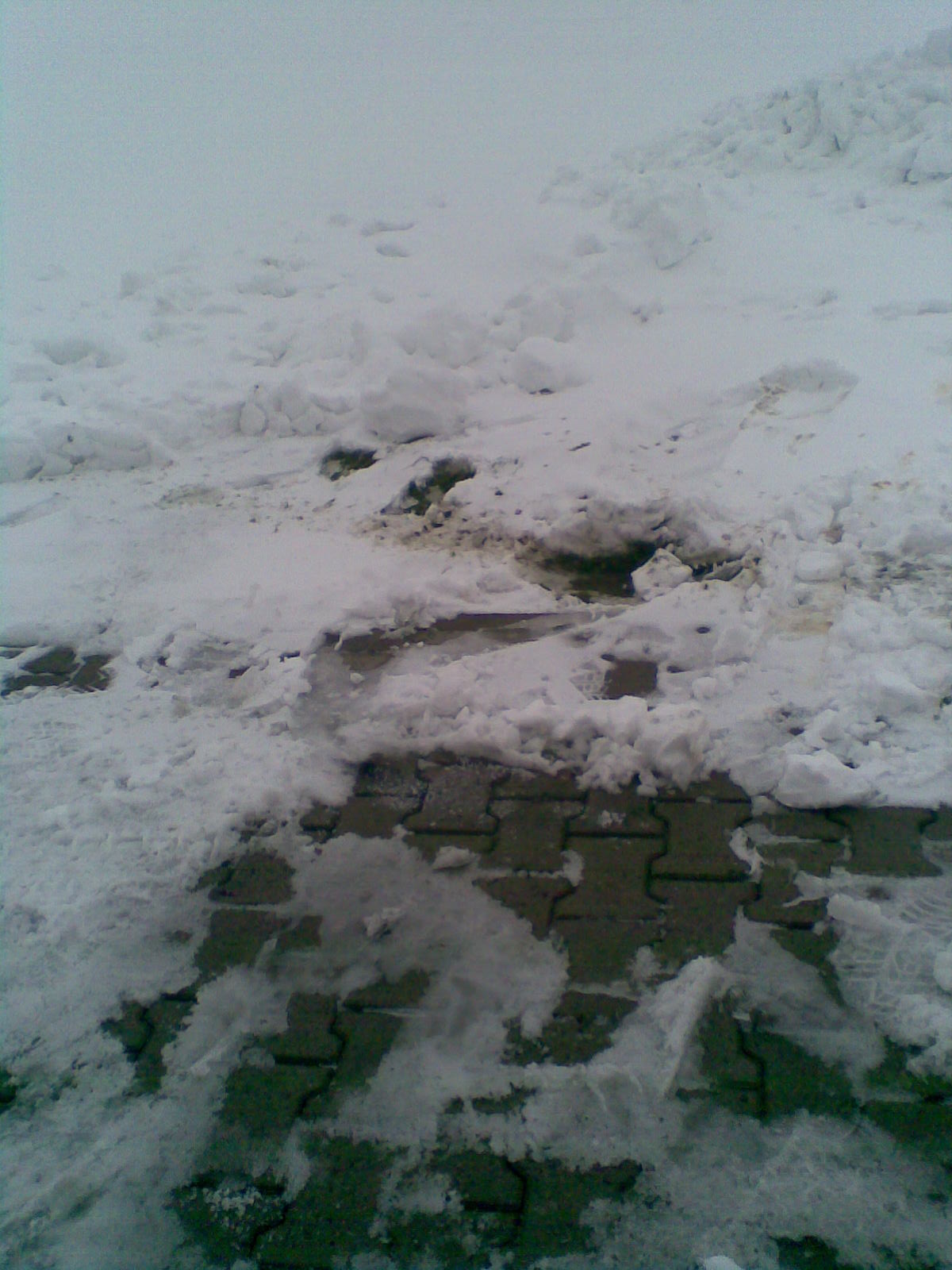 Bild000.jpg