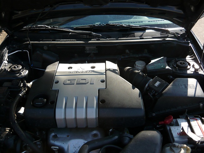 P1000571.JPG
