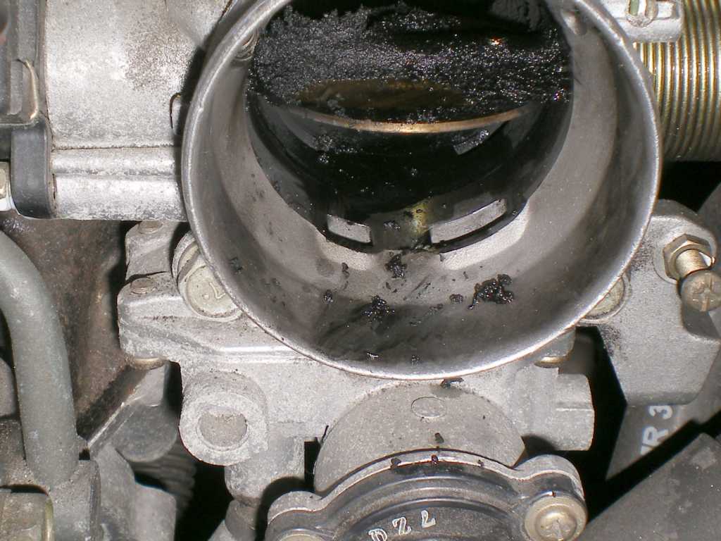 K1024_CariDrosselklappe00.JPG