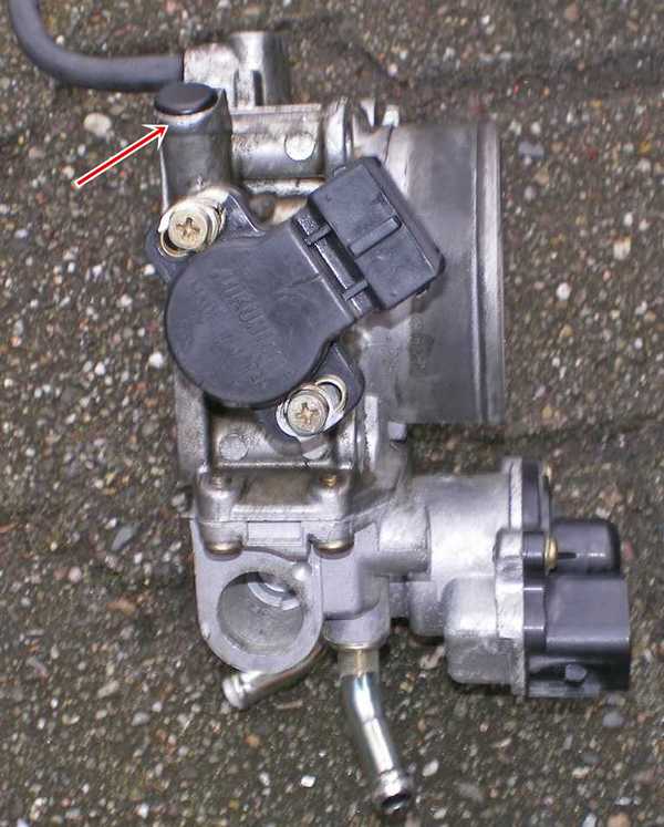 K800_K1024_CariDrosselklappe05.JPG