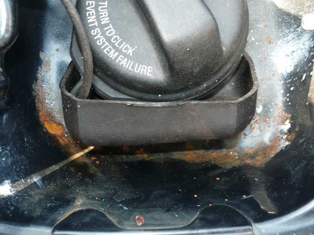 Rost!!!.JPG