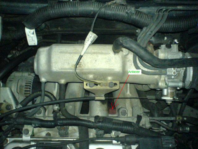 DSC00482.JPG