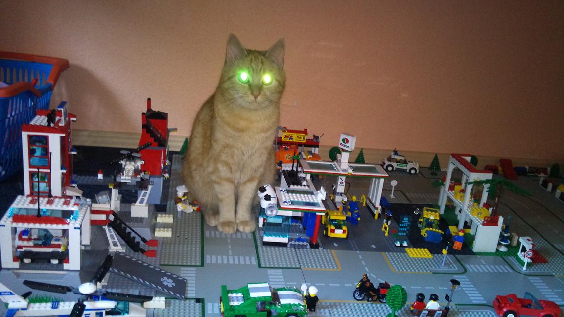 Garfield als Blockade.JPG
