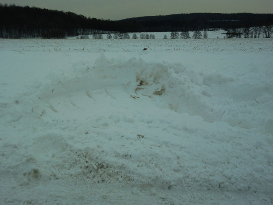 Foto0007.jpg