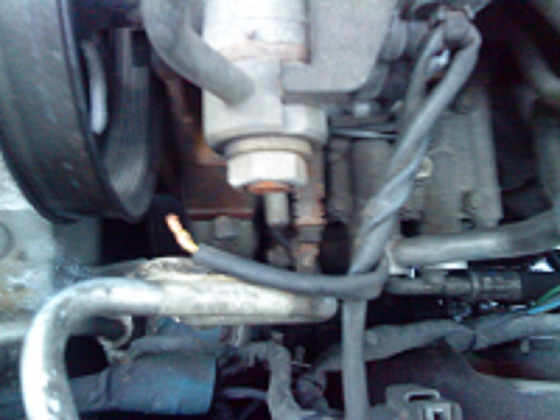 DSC00123.JPG
