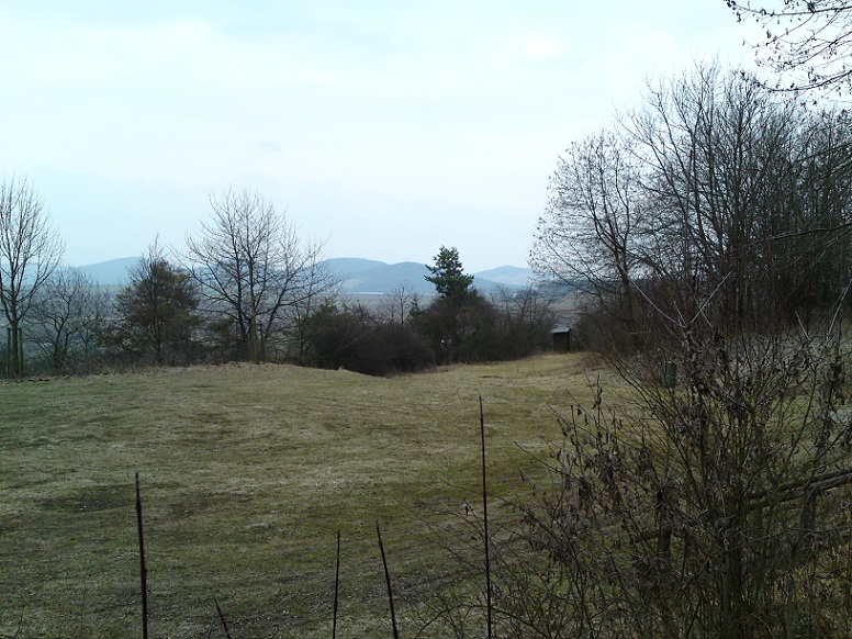 DSC00405.JPG