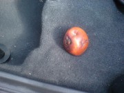 Apfel.JPG