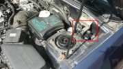 Carisma 004-.jpg