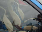 Custom Day 2008