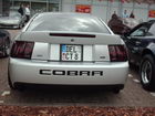 Custom Day 2008