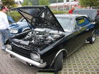 Custom Day 2008