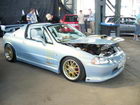 Japan Allstars 2008